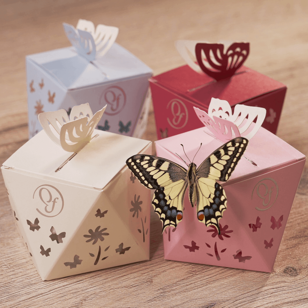 Bomboniere Butterfly Dream in diversi colori con una farfalla